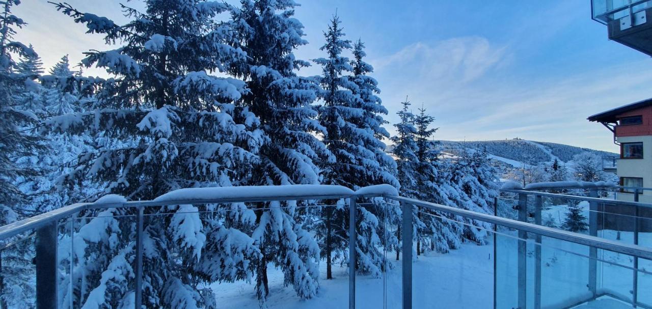 Apartman Nerudovka D 104, Finska Sauna, Garazove Stani Loučná pod Klínovcem Zewnętrze zdjęcie