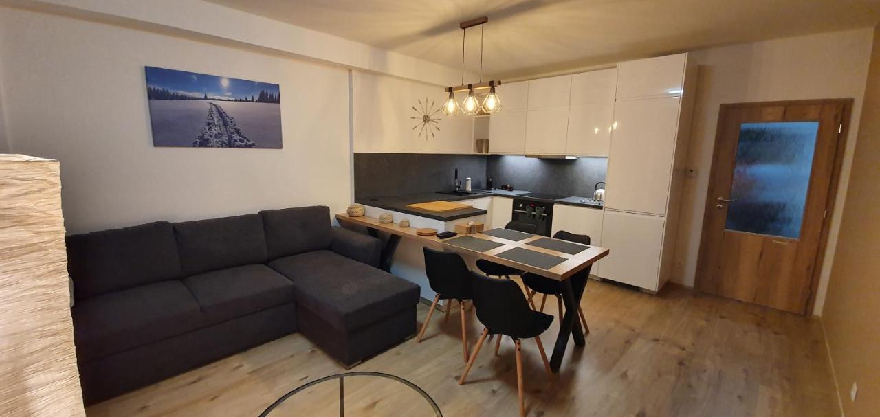 Apartman Nerudovka D 104, Finska Sauna, Garazove Stani Loučná pod Klínovcem Zewnętrze zdjęcie