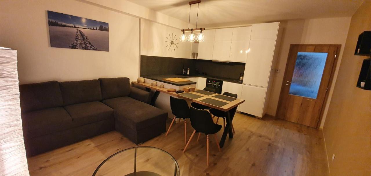 Apartman Nerudovka D 104, Finska Sauna, Garazove Stani Loučná pod Klínovcem Zewnętrze zdjęcie