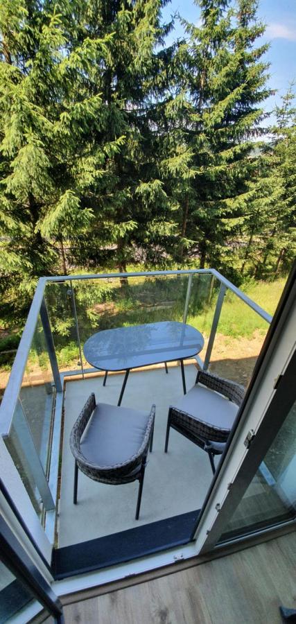 Apartman Nerudovka D 104, Finska Sauna, Garazove Stani Loučná pod Klínovcem Zewnętrze zdjęcie